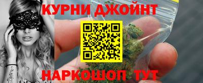сатива Гагарин
