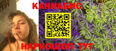 крисы Гай