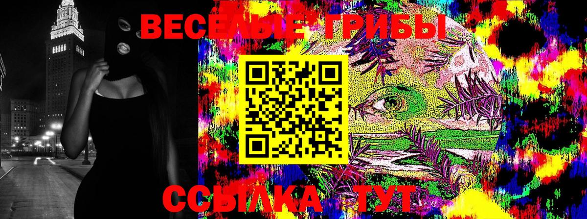 Псилоцибиновые грибы прущие грибы  Галлюциногенные грибы Magic Shrooms  Вход с VPN  наркошоп  Курчалой 