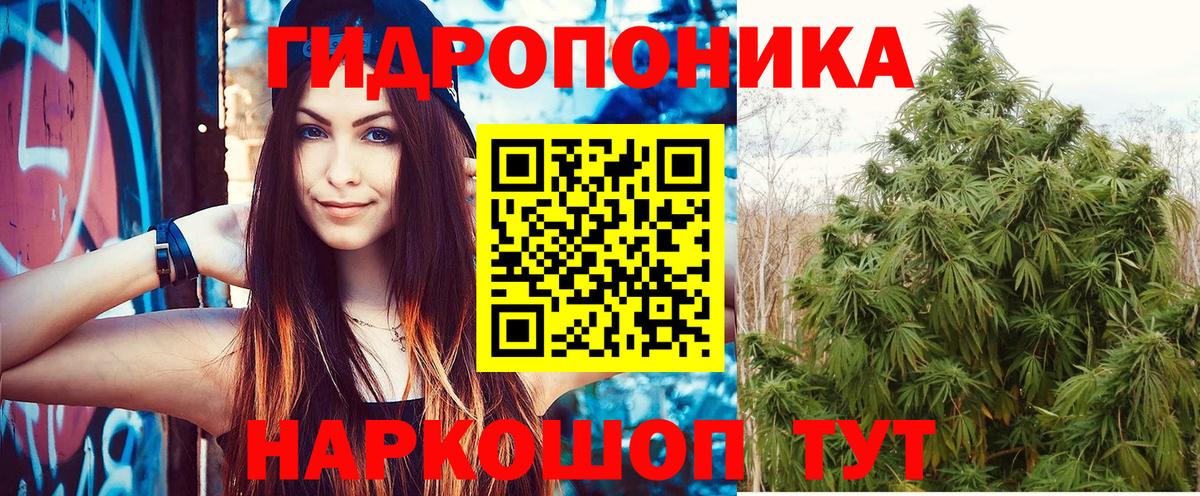 Бошки Шишки White Widow  Бошки марихуана ГИДРОПОН  Вход с VPN  МАРИХУАНА MAZAR  Курчалой 